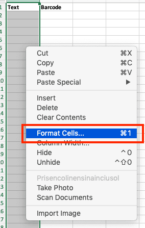 Creating Barcodes in Excel Format Cells