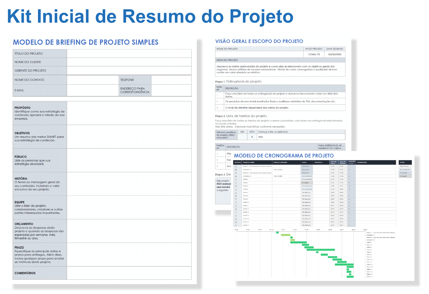 Kit inicial do resumo do projeto PT