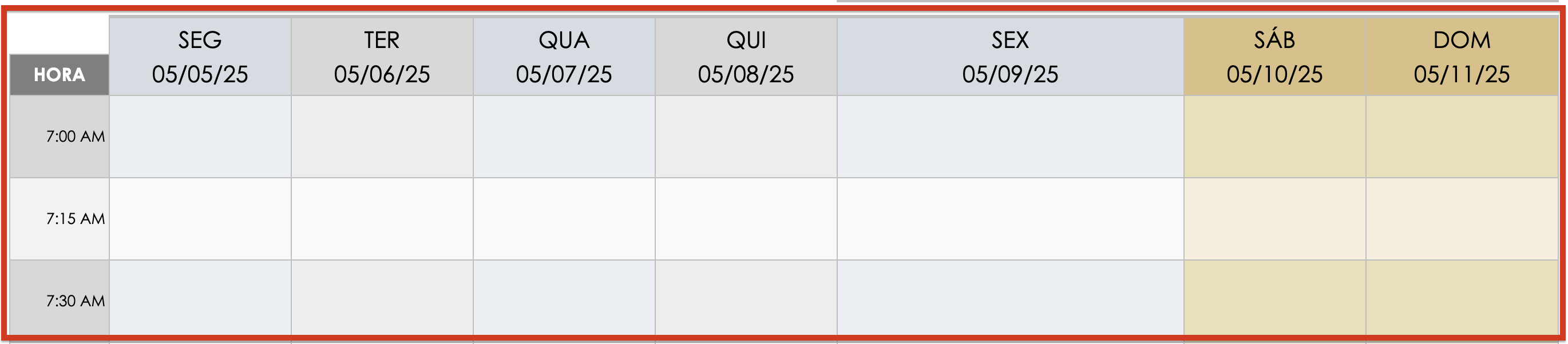 Cronograma semanal dia a dia