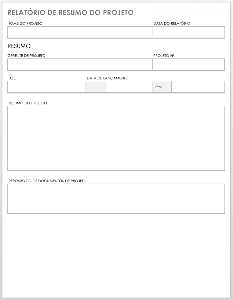 Modelo de Relatório de Resumo do Projeto