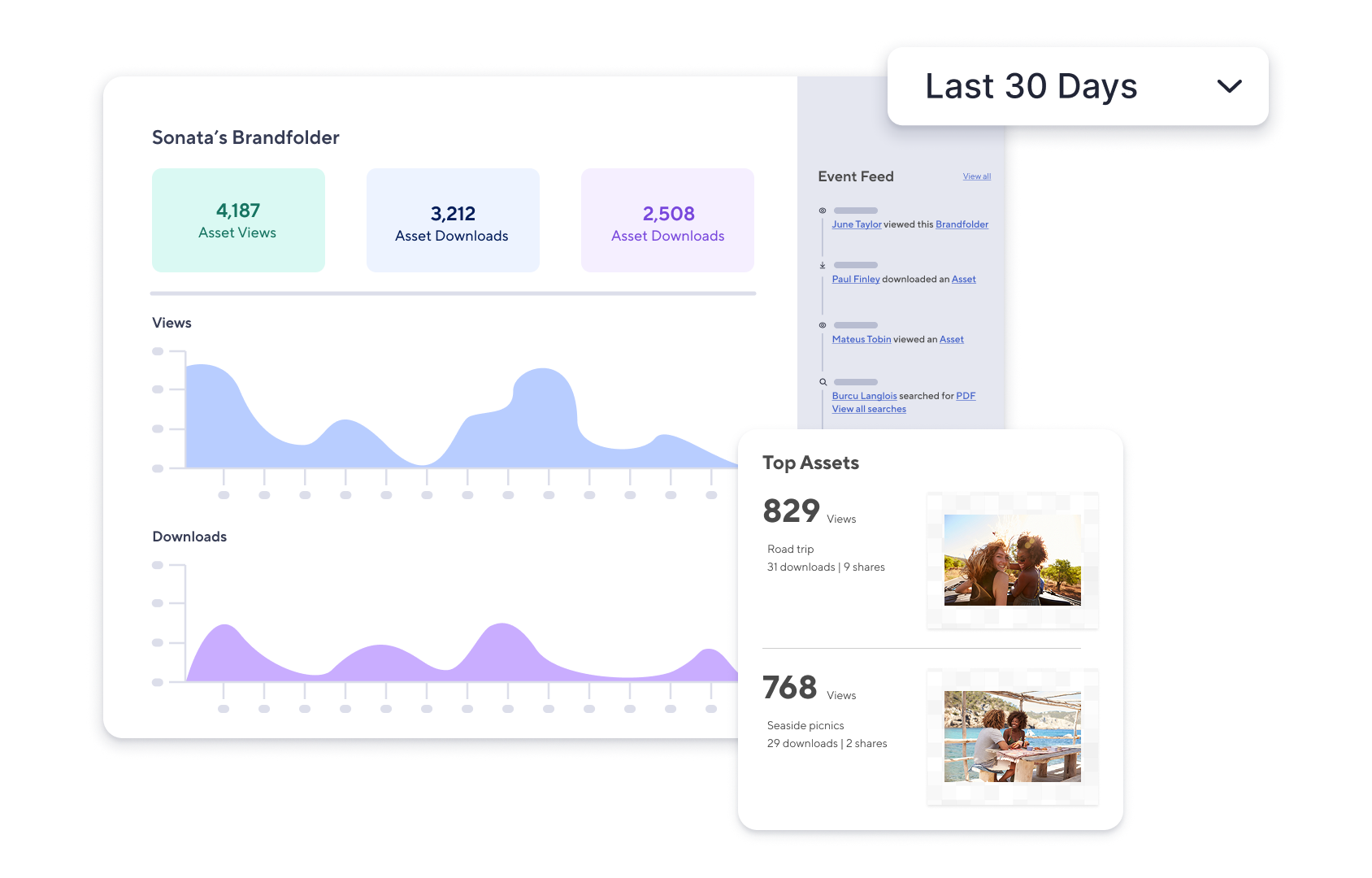 brandfolder optimization UI