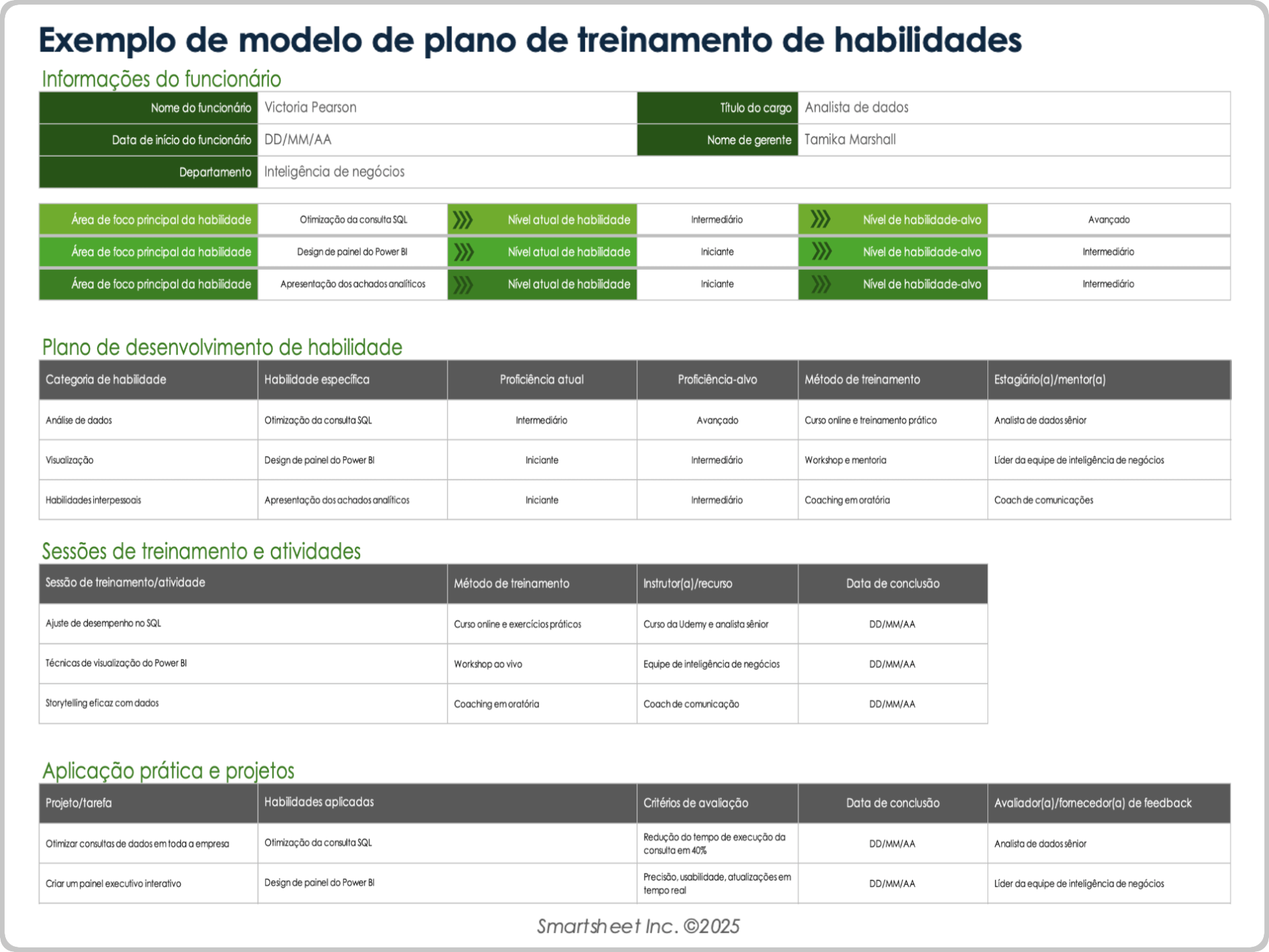 Exemplo de modelo de plano de treinamento de habilidades
