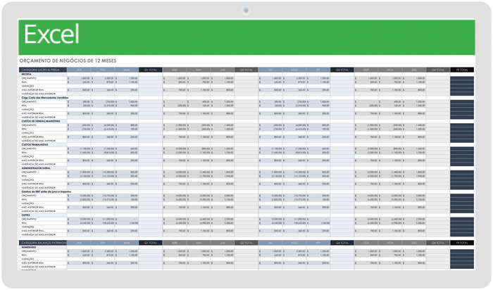 Orçamento de negócios de 12 meses