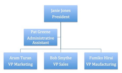 easy org charts word filled out